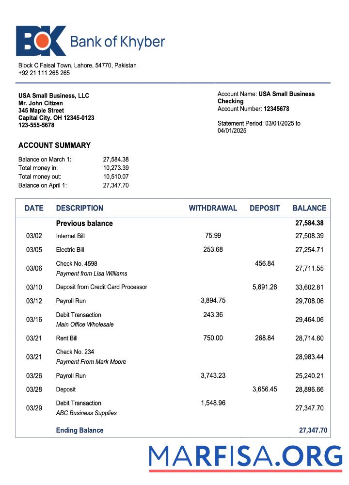 Downloadable Pakistan The Bank of Khyber enterprise account statement Word and PDF template